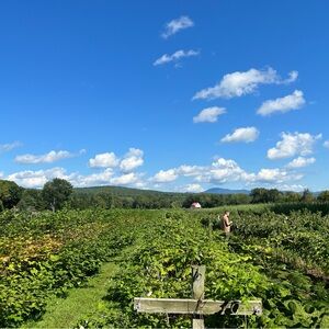 Meet your Posher, Curtis